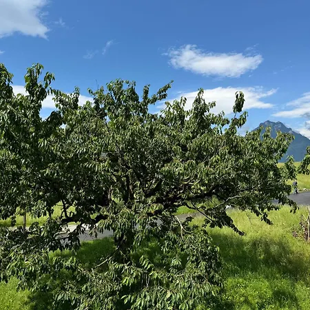 Lägenhet Und Berge Loft Faulensee