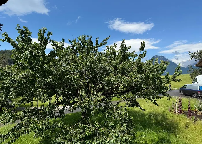 公寓 Und Berge Loft 法伦湖